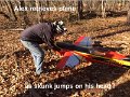 Alex with plane and skunk on head